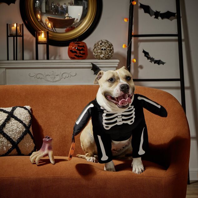 Déguisement pour chien squelette noir et blanc S/M