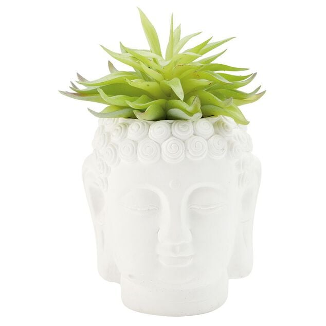 T&ecirc;te Bouddha avec plante