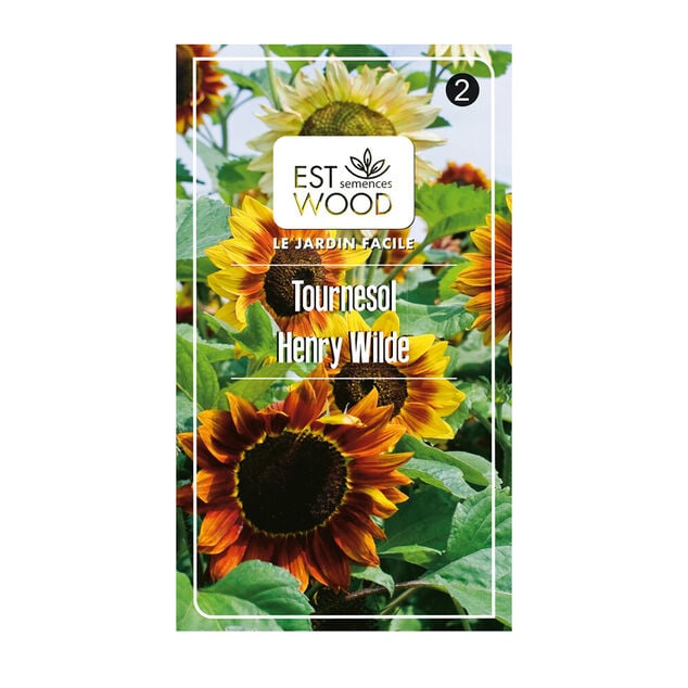 Semence tournesol jaune