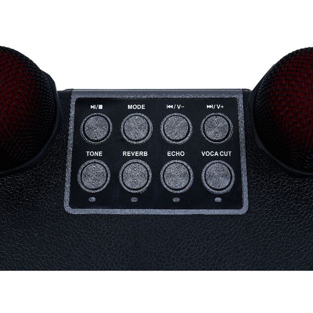 Enceinte karaoké 2 micros Homday Party