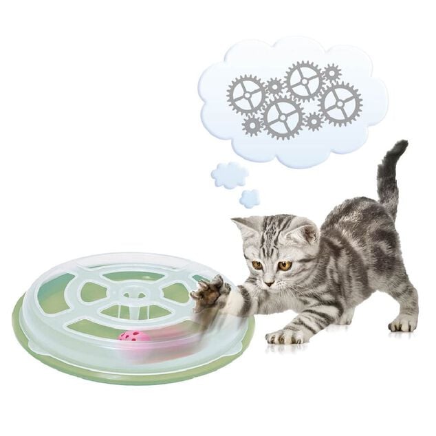 Jeu de balle pour chat