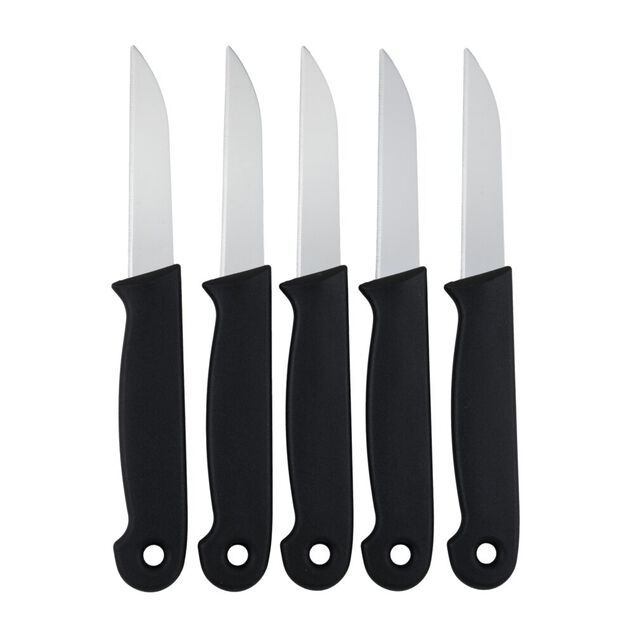Couteau &agrave; l&eacute;gumes x5 &eacute;pluche et d&eacute;coupe L16cm