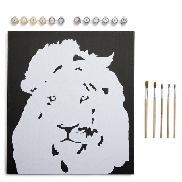 Kit peinture num&eacute;ros 45x40cm avec peintures et pinceaux (3 mod&egrave;les)