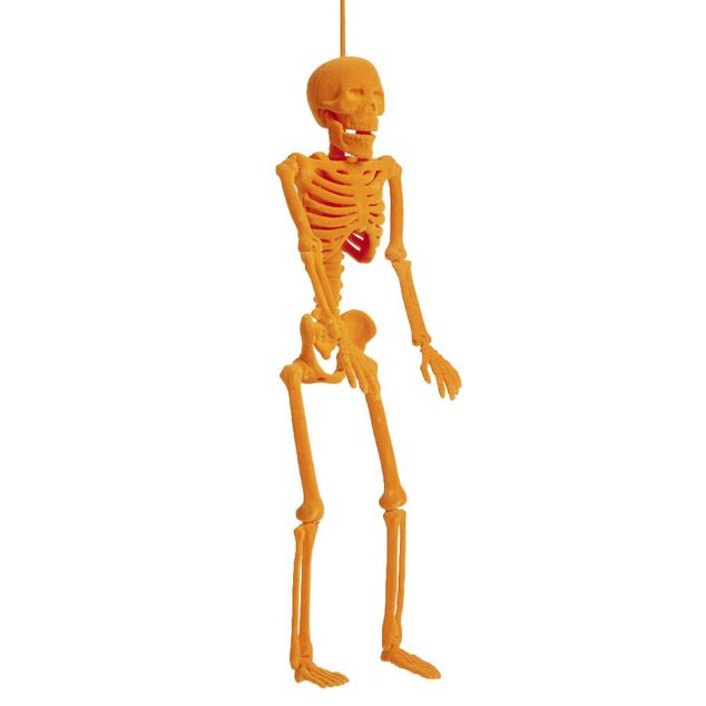 Squelette &agrave; suspendre Halloween H40cm