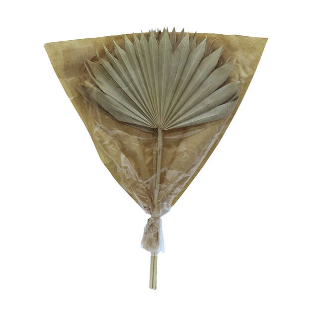 Feuille de palmier s&eacute;ch&eacute;e naturelle H55cm x3