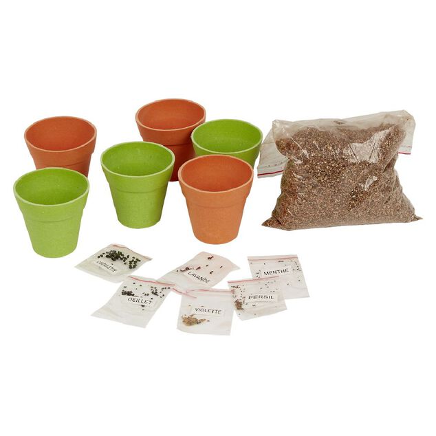 Le kit du mini jardinier pour plantes avec pots en bambou et substrat