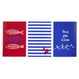 Lot de 3 affiches papier rouge et bleu 10x15cm