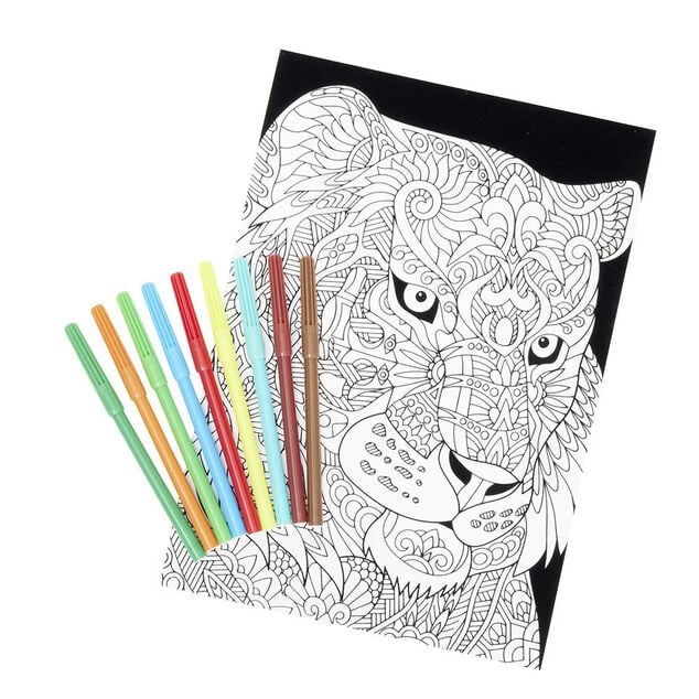 Coloriage velours avec 10 feutres