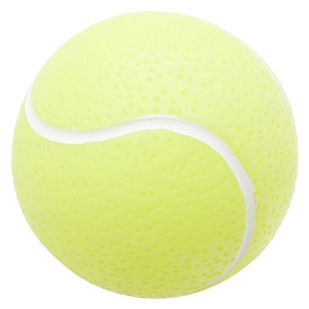 Jouet balle pour chien &Oslash;9,5cm