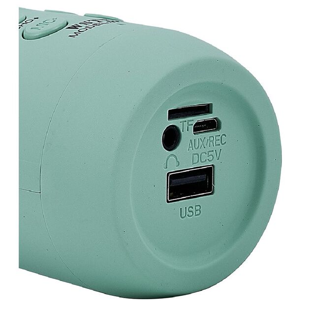 Micro karaoké et veilleuse bluetooth XL forme champignon