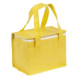 Sac fra&icirc;cheur 4,5L 22x16xH15cm