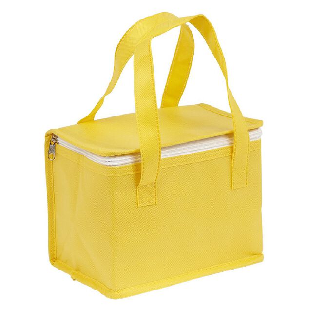 Sac fra&icirc;cheur 4,5L 22x16xH15cm