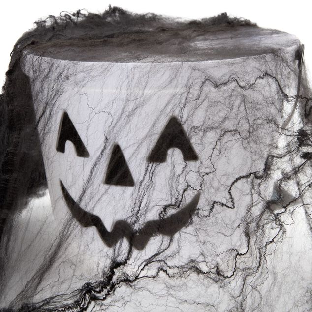 Toile d'araign&eacute;e en coton 750 gr