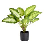 Plante artificielle en pot monstera vert 15 feuilles H50cm - 2 mod&egrave;les