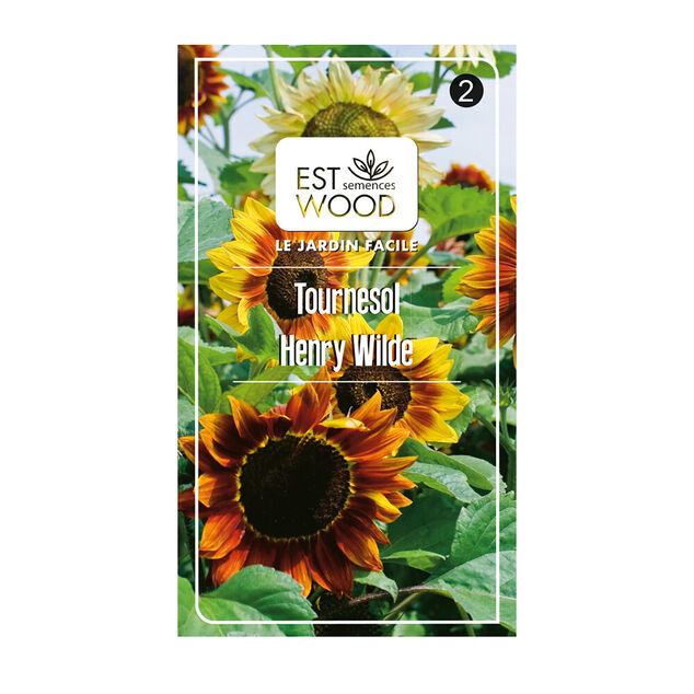 Semence tournesol jaune