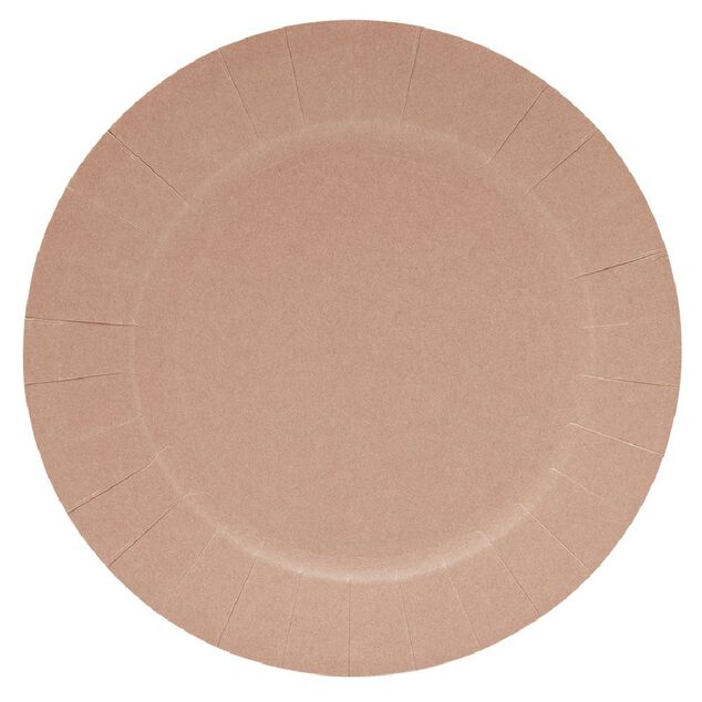 Lot de 10 assiettes en carton Ø18cm rose