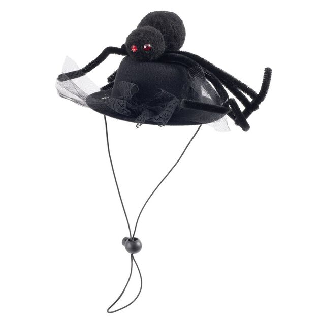 Chapeau pour animal d&eacute;guisement Halloween araign&eacute;e noir &Oslash;13,5xH11,5cm