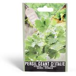 Semence persil géant d'Italie 1g
