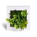 Plante artificielle d&eacute;coration murale cadre bois blanc 20x20cm