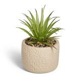 Plante artificielle verte pot ciment relief beige Ø10xH17cm