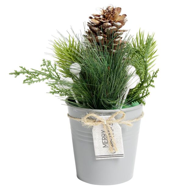 D&eacute;coration branche de pin dans pot gris &Oslash;8xH10cm