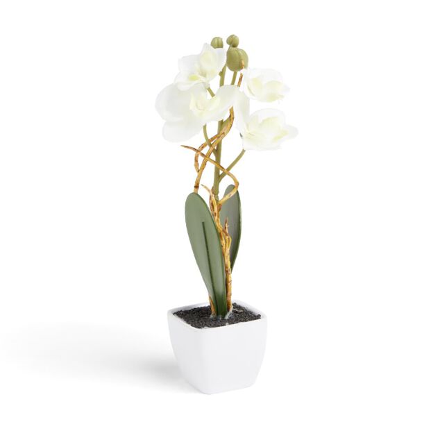 Pot orchid&eacute;e artificielle blanche H16cm