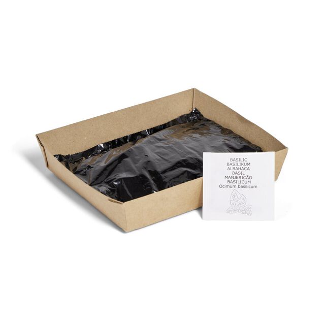 Bac de culture basilic avec graines et terreau