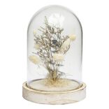 Cloche déco pampa socle bois naturel