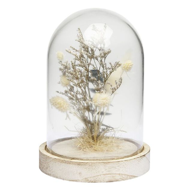 Cloche déco pampa socle bois naturel