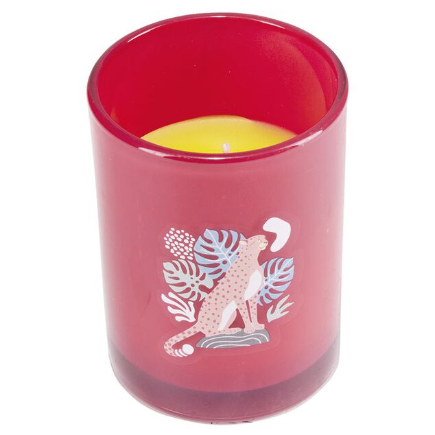 Bougie citronnelle pot en verre color&eacute; motif tropical 28H - &Oslash;13xH8cm