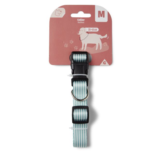 Collier pour chien moyen - Taille M