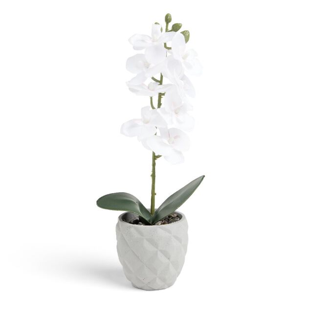 Pot orchidée artificielle blanche H31cm