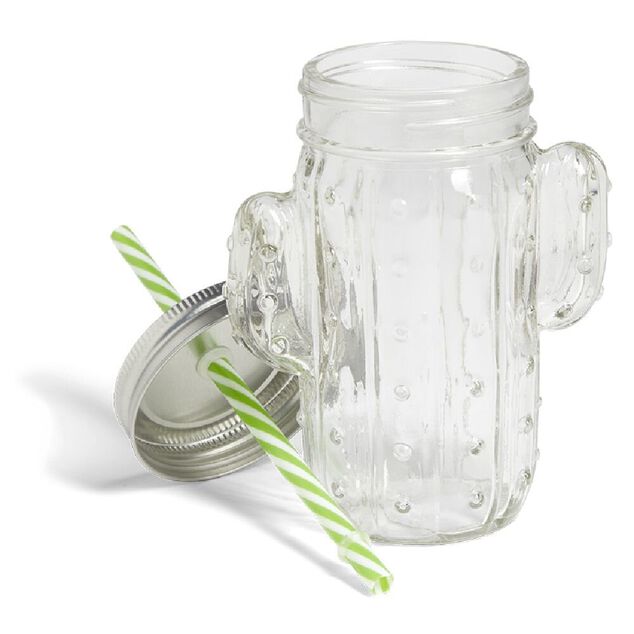Gobelet 460ml forme cactus avec paille verre transparent