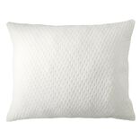 Oreiller rectangulaire premium blanc 60x50xÉp10cm