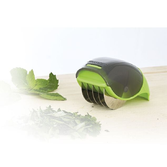 Coupe herbes aromatiques vert anis