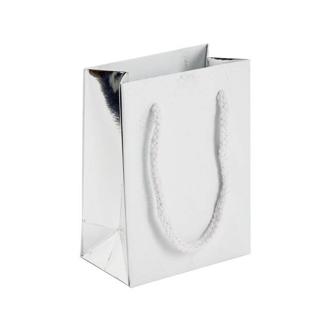 Sac cadeau No&euml;l bor&eacute;al 11x9,5xH14,5cm (2 mod&egrave;les)