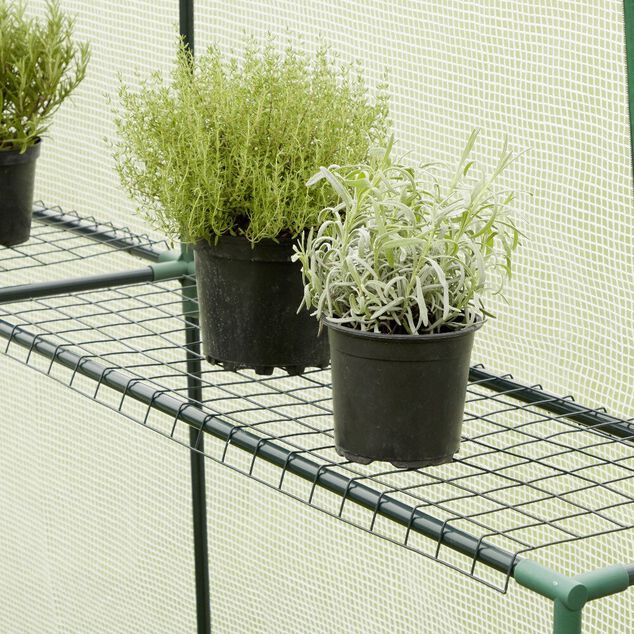 Serre en m&eacute;tal