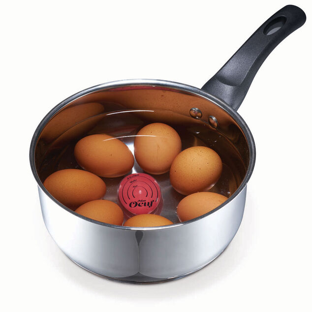 Minuteur oeuf thermique coloré