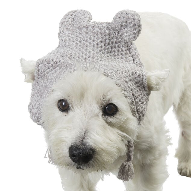 Bonnet pour chien avec oreilles gris Taille M/L