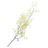 Chute tillandsia L83cm feuillage artificiel vert clair