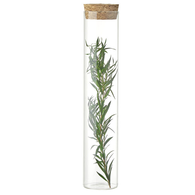 Fleurs s&eacute;ch&eacute;es dans tube &Oslash;3xH17cm (4 mod&egrave;les)