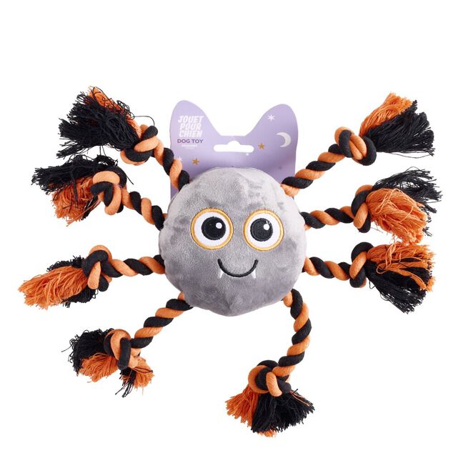Jouet pour chien araign&eacute;e Halloween corde et noeuds 15x12xH5cm