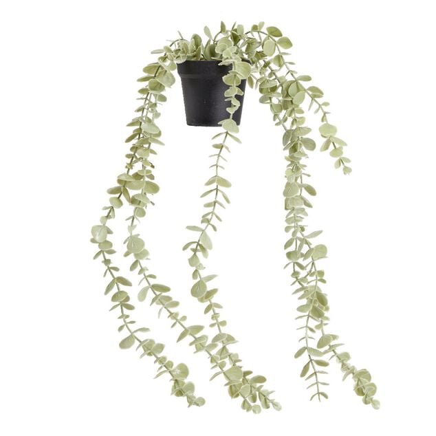 Plante grasse artificielle succulente H42cm - 2 mod&egrave;les