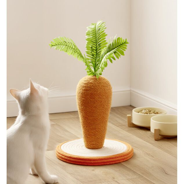 Griffoir pour chat forme carotte en bois et jute Ø26xH15cm