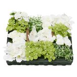 Coussin printanier fleur artificielle 36x36xH10cm