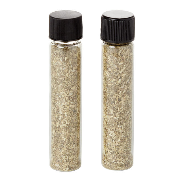 Herbe &agrave; chat x2