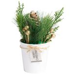Décoration branche de pin dans pot blanc Ø8xH10cm