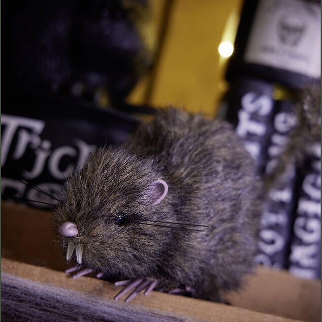 Rat noir ou marron d&eacute;coration Halloween