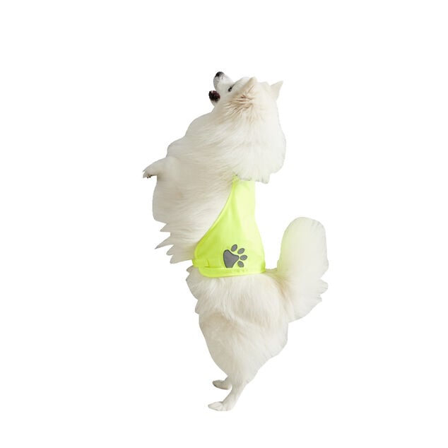 Gilet de s&eacute;curit&eacute; pour chien r&eacute;fl&eacute;chissant Taille M
