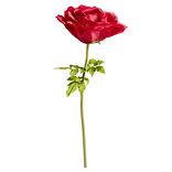 Fleur artificielle rose rouge tige XXL H170cm